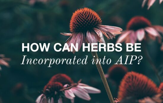 Herbal Allies and Autoimmune Healing: How can Herbs be incorporated into AIP?