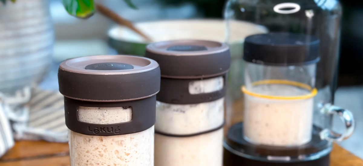 Gluten-free Soughdough Starter