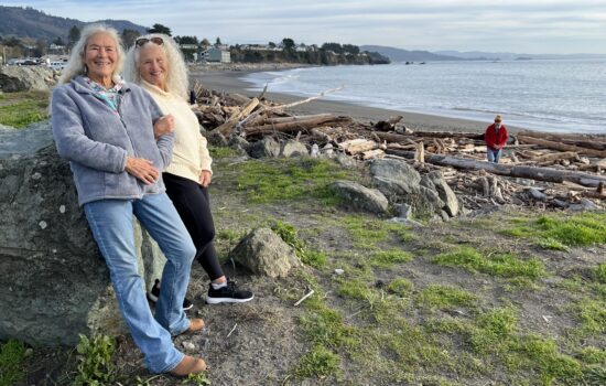 ‘Tis The Season To Be Energized!