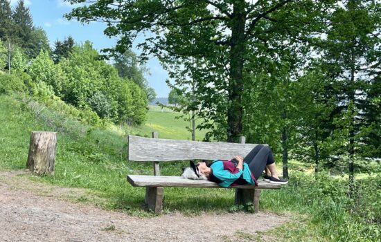 2026 June: The Topic of Discussion for Older Farts (oops, Folks)