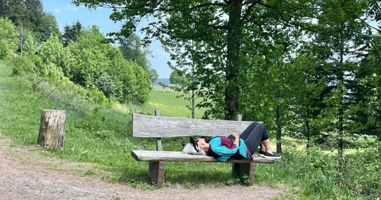 2026 June: The Topic of Discussion for Older Farts (oops, Folks)