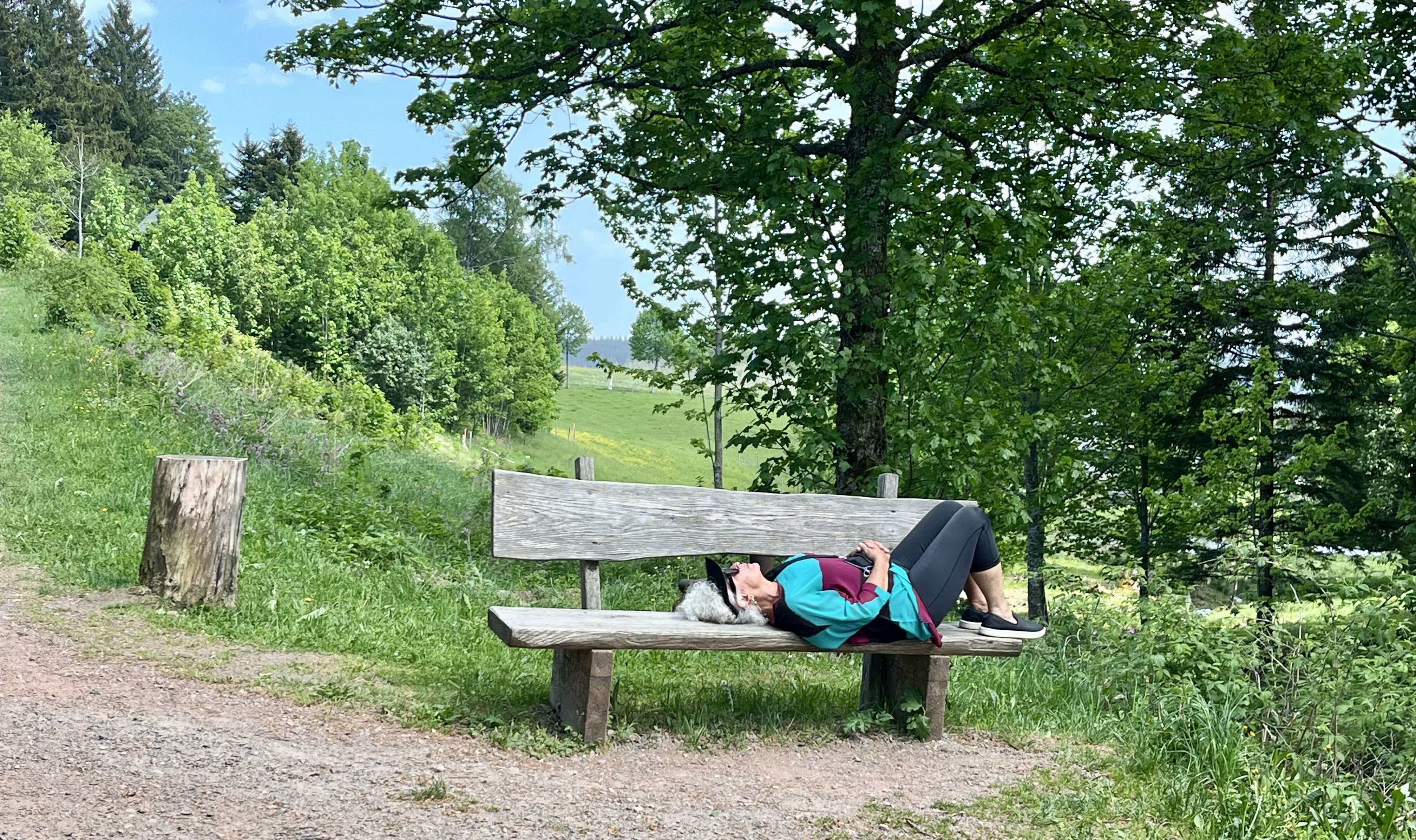 2026 June: The Topic of Discussion for Older Farts (oops, Folks)